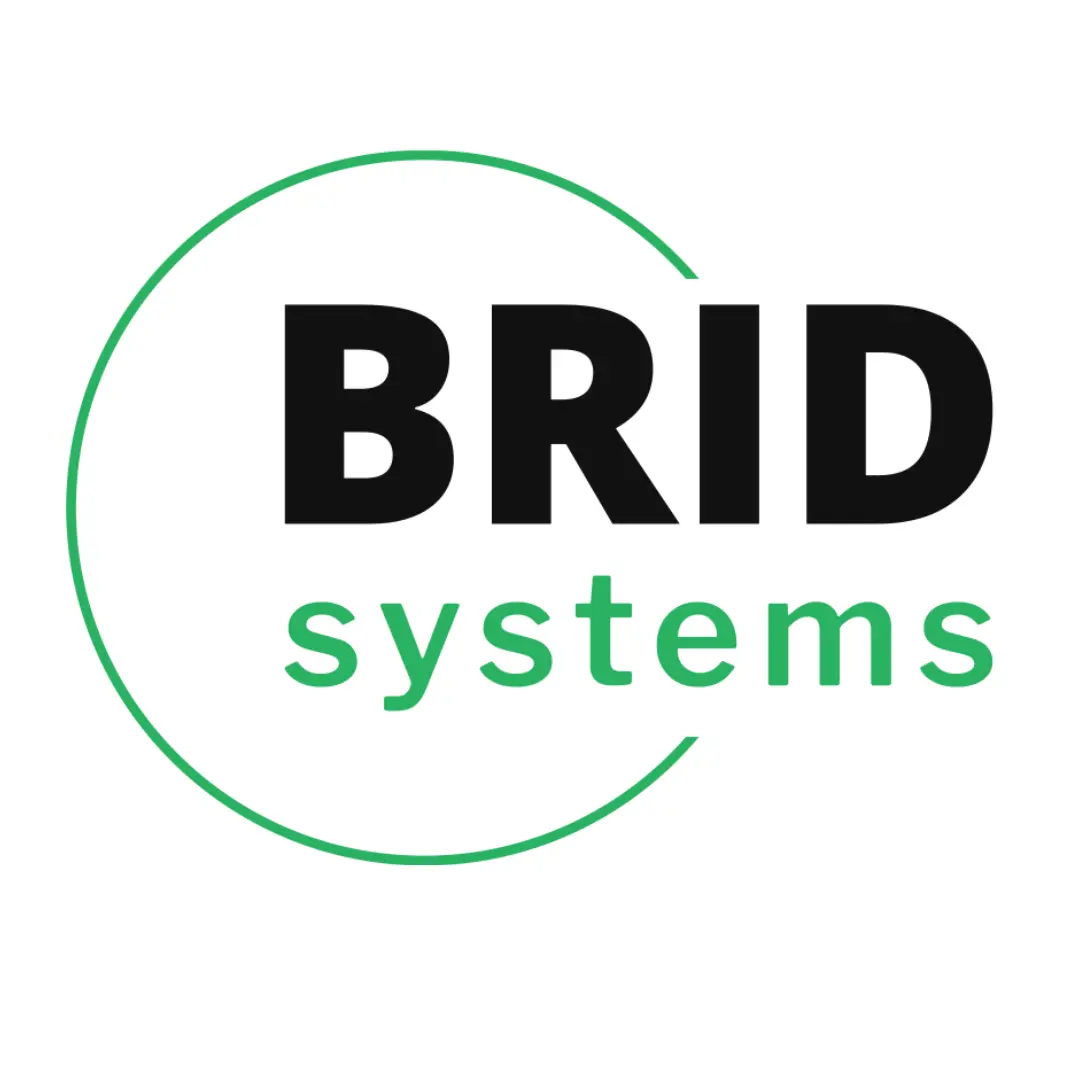 Bridsystems logo